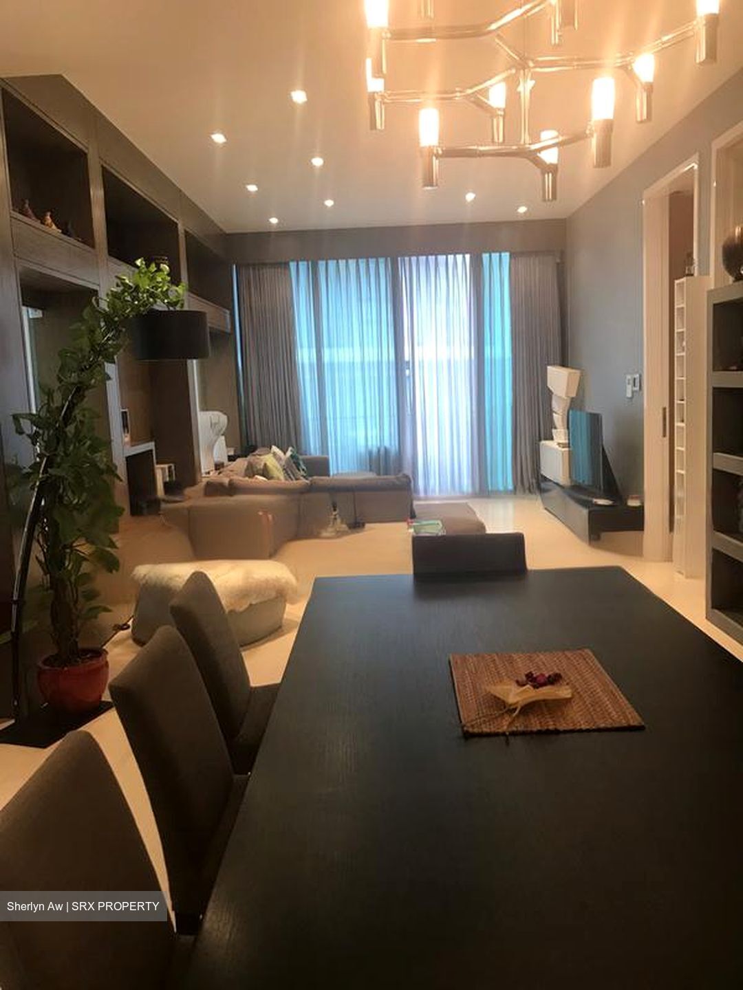 Belle Vue Residences (D9), Condominium #468379641